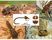 Fish Skull Evolution Mayfly Clinger & Crawler Beadhead